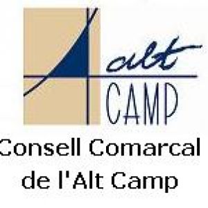 consell_comarcal_20090910194804